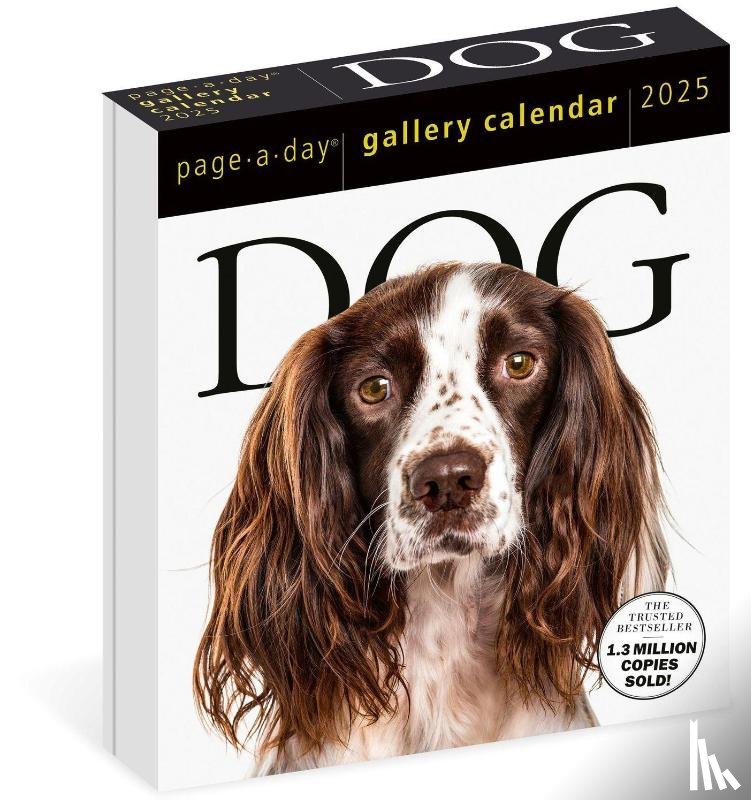 Calendars, Workman - Dog Page-A-Day® Gallery Calendar 2025