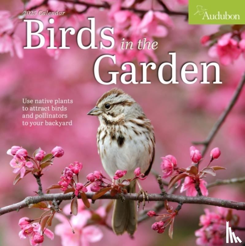 Society, National Audubon, Calendars, Workman - Audubon Birds in the Garden Wall Calendar 2025