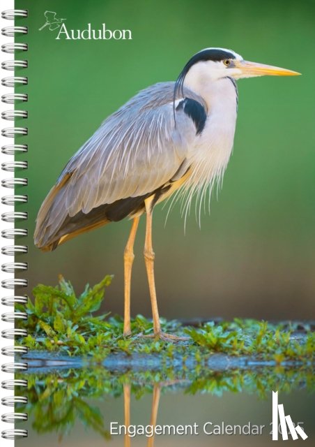 Society, National Audubon, Calendars, Workman - Audubon Engagement Calendar 2025