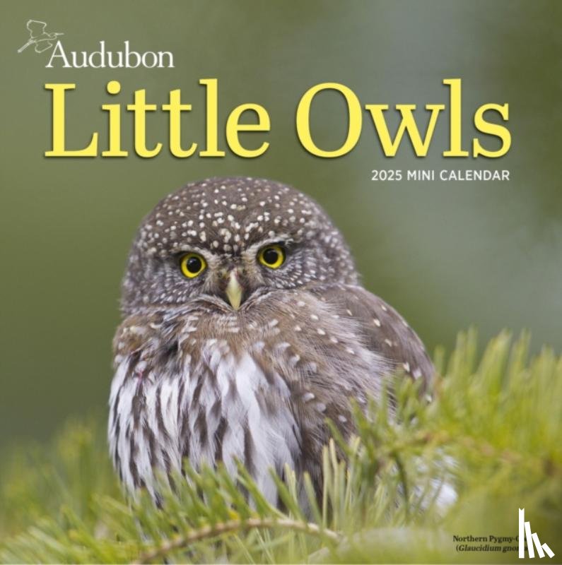 Society, National Audubon, Calendars, Workman - Audubon Little Owls Mini Wall Calendar 2025