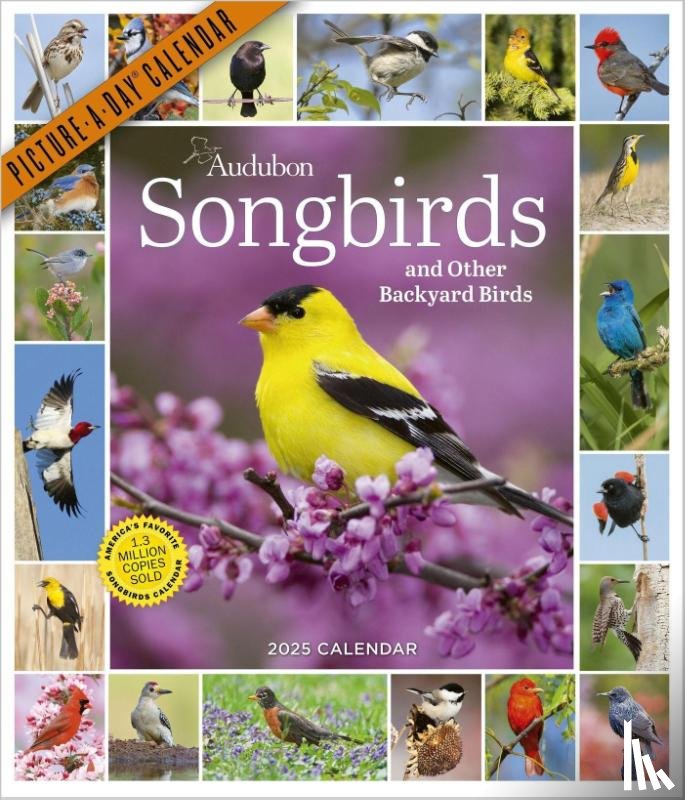 Society, National Audubon, Calendars, Workman - Audubon Songbirds and Other Backyard Birds Picture-A-Day® Wall Calendar 2025