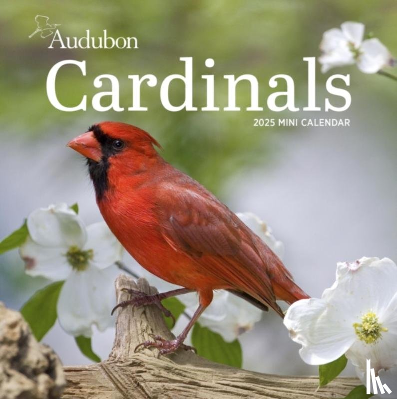 Society, National Audubon, Calendars, Workman - Audubon Cardinals Mini Wall Calendar 2025