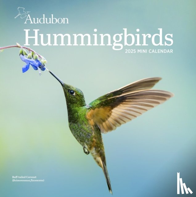 Society, National Audubon, Calendars, Workman - Audubon Hummingbirds Mini Wall Calendar 2025