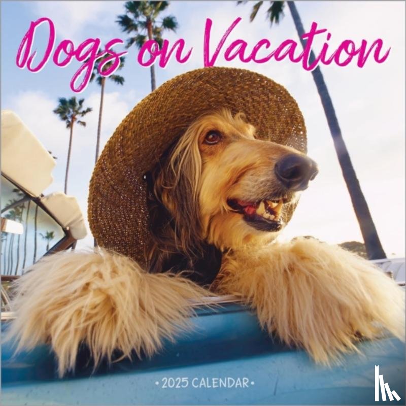 Calendars, Workman - Dogs on Vacation Wall Calendar 2025