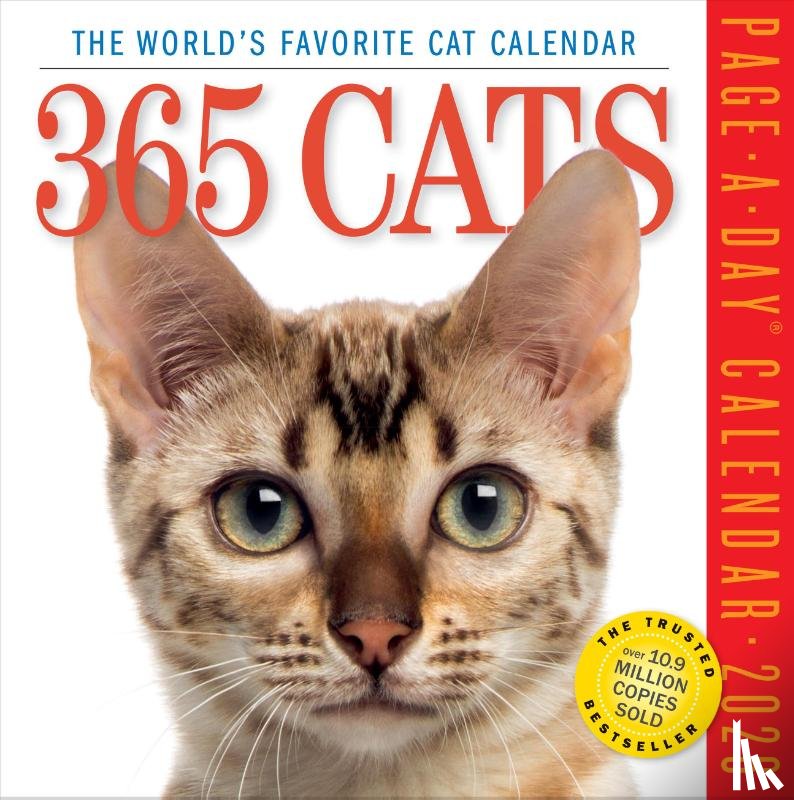 Calendars, Workman - 365 Cats Page-A-Day® Calendar 2026
