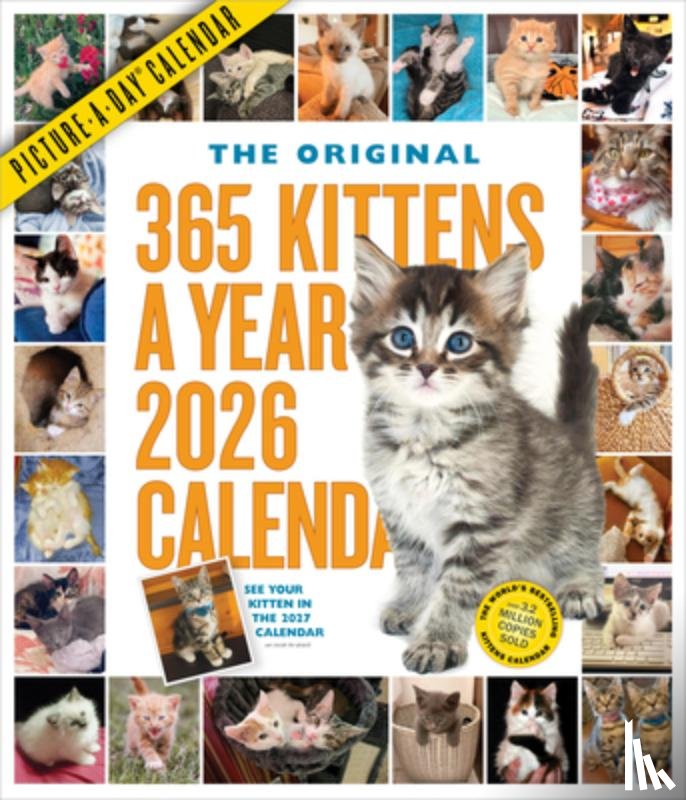 Workman Publishing - 365 Kittens-A-Year Picture-A-Day(r) Wall Calendar 2026