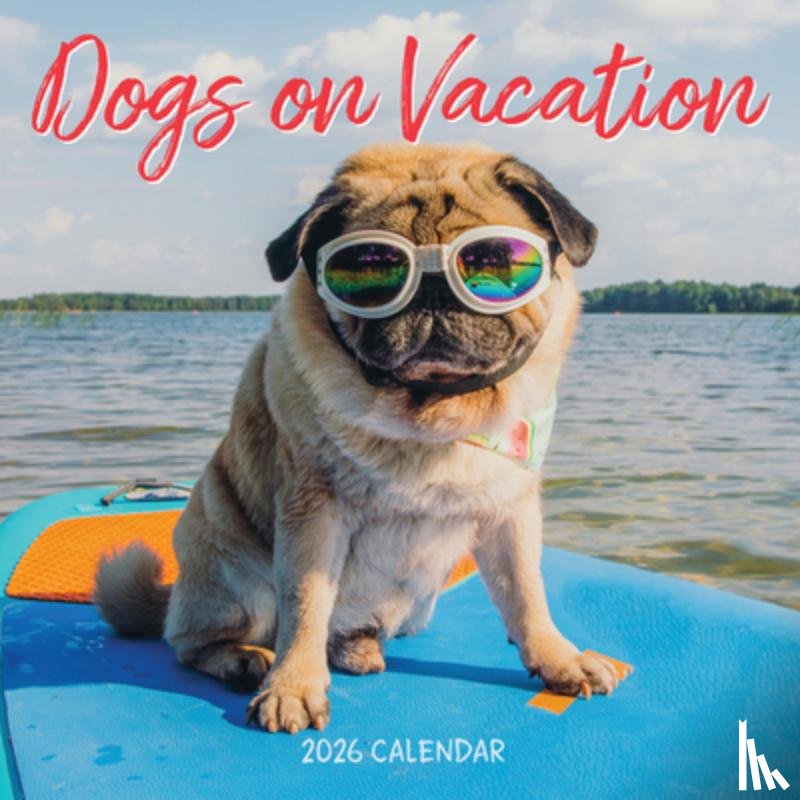 Publishing, Workman - Dogs on Vacation Wall Calendar 2026