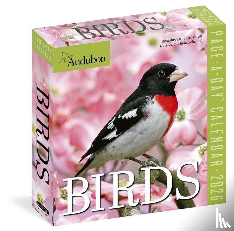 Society, National Audubon, Calendars, Workman - Audubon Birds Page-A-Day® Calendar 2026
