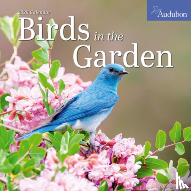 Society, National Audubon, Calendars, Workman - Audubon Birds in the Garden Wall Calendar 2026