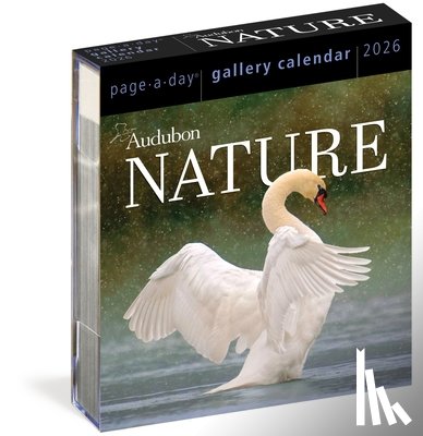 Workman Calendars - Audubon Nature Page-A-Day(r) Gallery Calendar 2026
