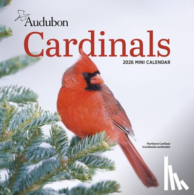 Calendars, Workman - Audubon Cardinals Mini Wall Calendar 2026