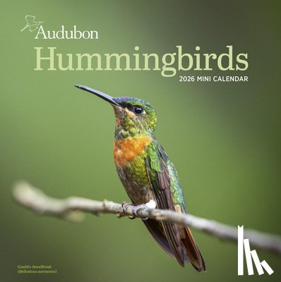 Calendars, Workman - Audubon Hummingbirds Mini Wall Calendar 2026