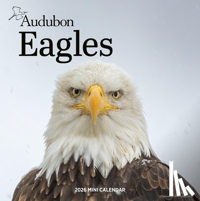 Calendars, Workman - Audubon Eagles Mini Wall Calendar 2026