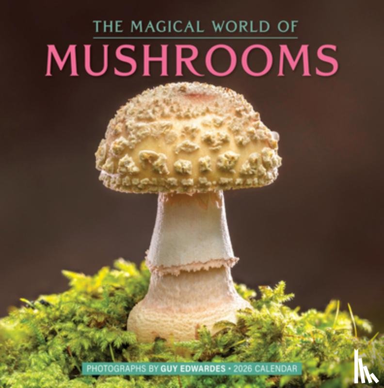Edwardes, Guy, Calendars, Workman - The Magical World of Mushrooms Wall Calendar 2026