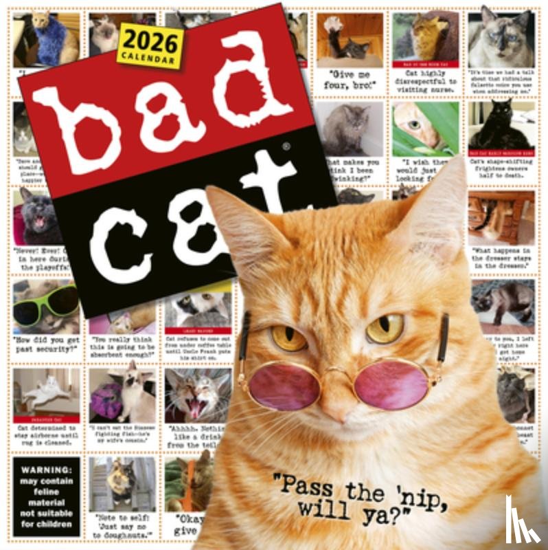 Calendars, Workman - Bad Cat Wall Calendar 2026