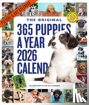 Workman Calendars - 365 Puppies-A-Year Picture-A-Day(r) Wall Calendar 2026