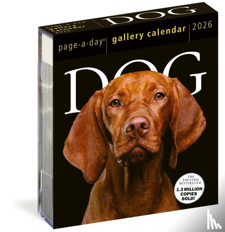 Calendars, Workman - Dog Page-A-Day® Gallery Calendar 2026