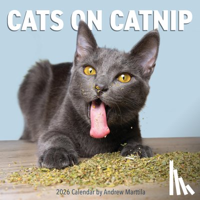 Marttila, Andrew, Calendars, Workman - Cats on Catnip Wall Calendar 2026