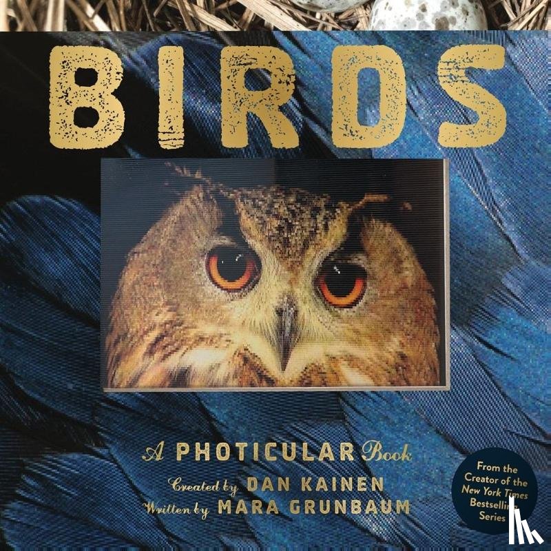 Kainen, Dan, Grunbaum, Mara - Birds