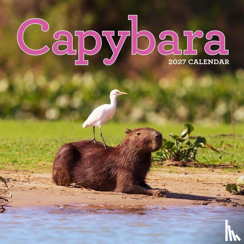 Calendars, Workman - Capybara Wall Calendar 2027