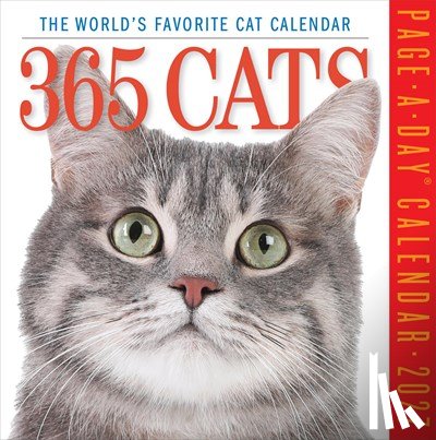 Workman Calendars - 365 Cats Page-A-Day® Calendar 2027