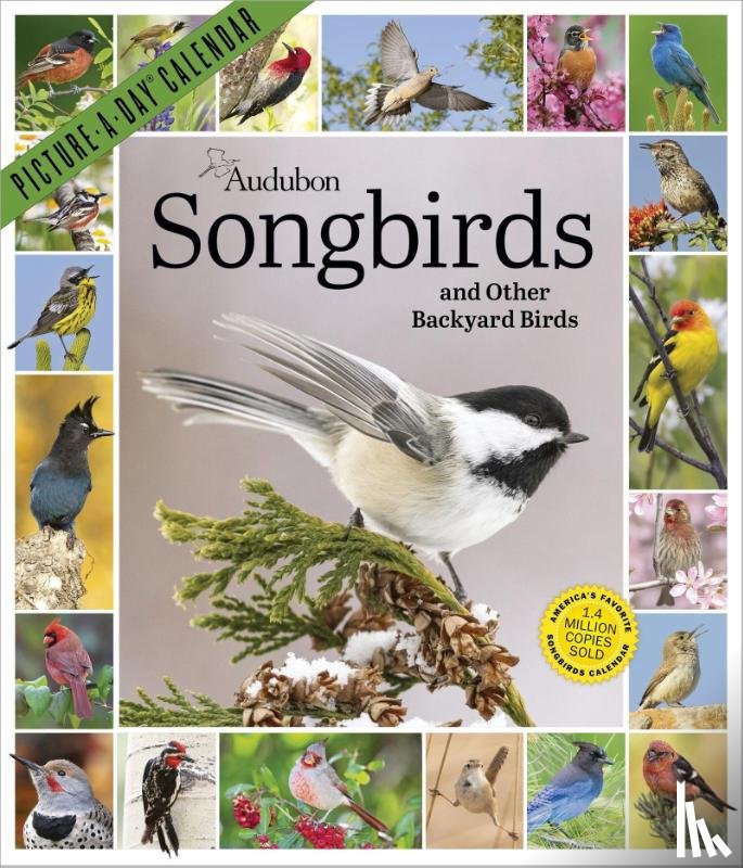 Society, National Audubon, Calendars, Workman - Audubon Songbirds and Other Backyard Birds Picture-A-Day® Wall Calendar 2027