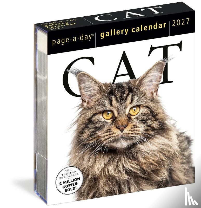 Workman Calendars - Cat Page-A-Day® Gallery Calendar 2027