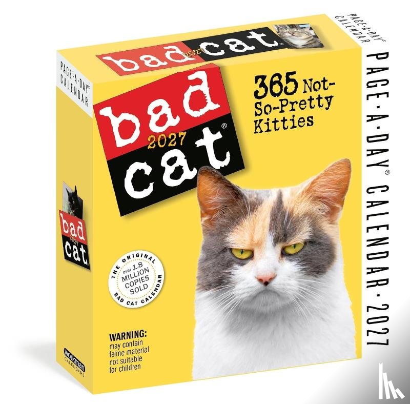 Workman Calendars - Bad Cat Page-A-Day® Calendar 2027