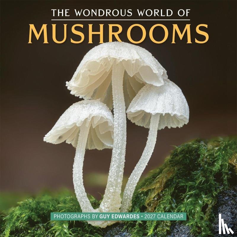 Edwardes, Guy, Calendars, Workman - The Wondrous World of Mushrooms Wall Calendar 2027