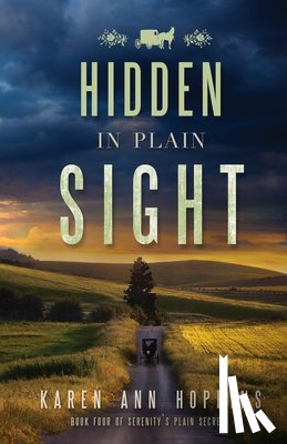Hopkins, Karen Ann - Hidden in Plain Sight