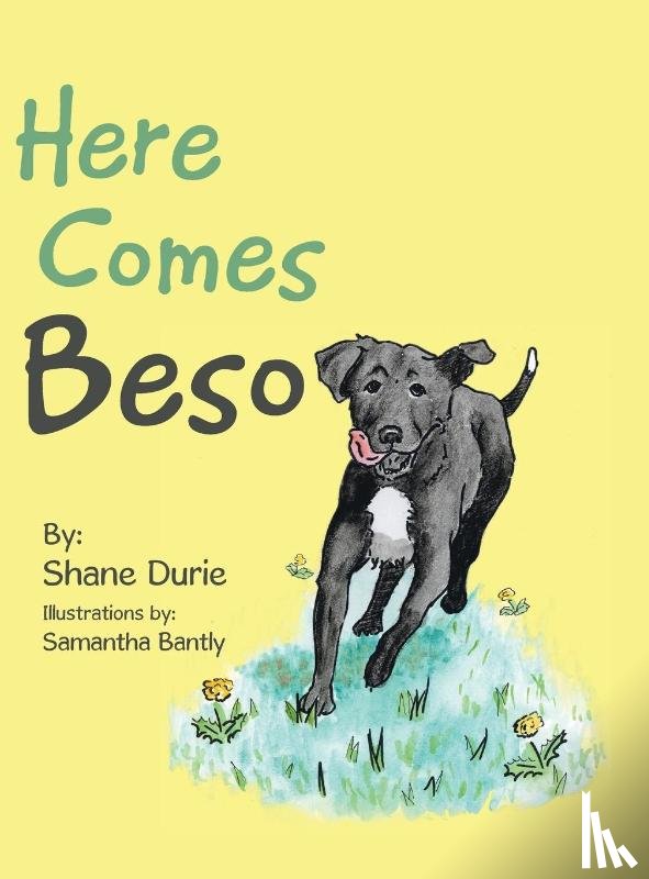 Durie, Shane - Here Comes Beso