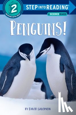 Salomon, David - Penguins!