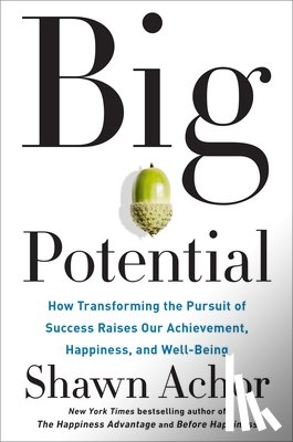 Shawn Achor - Big Potential