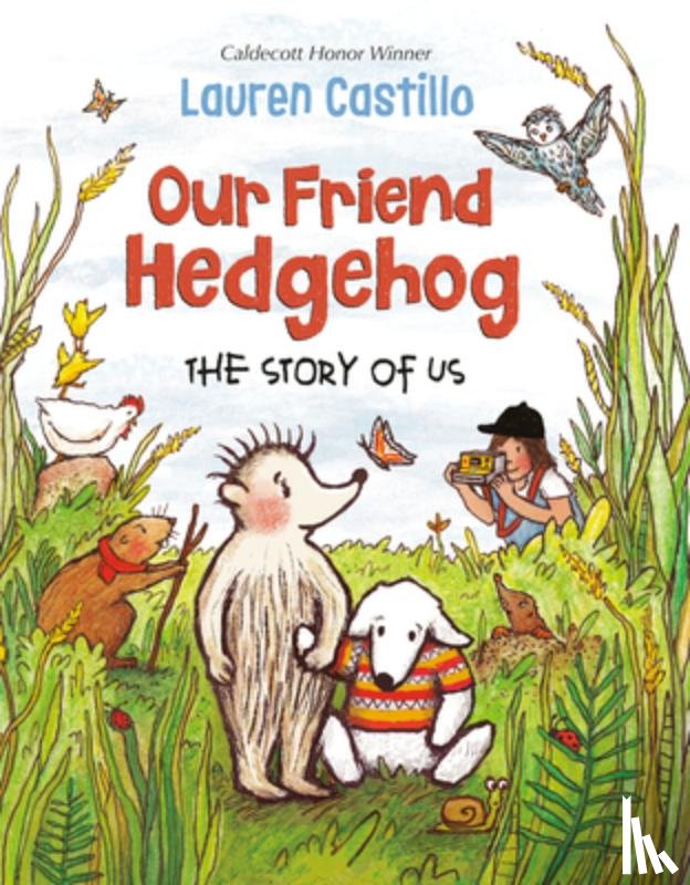 Castillo, Lauren - Our Friend Hedgehog