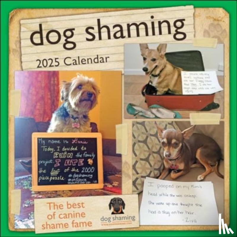 Lemire, Pascale, dogshaming.com - Dog Shaming 2025 Wall Calendar