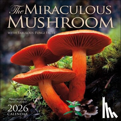 Amber Lotus Publishing - The Miraculous Mushroom 2026 Wall Calendar
