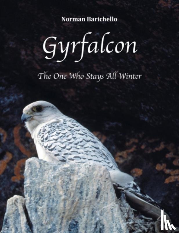 Barichello, Norman - Gyrfalcon