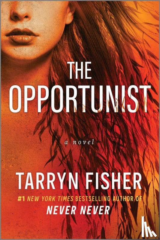 Fisher, Tarryn - Fisher, T: Opportunist