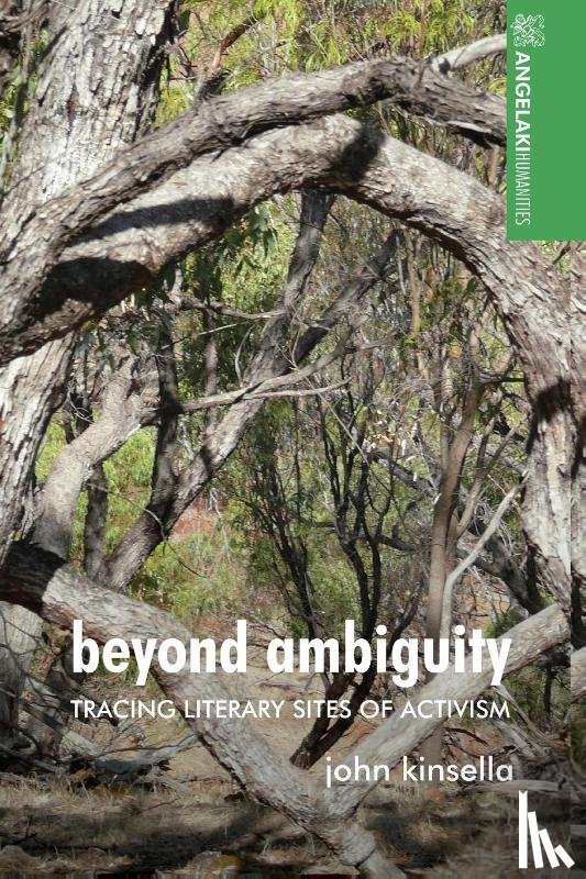 Kinsella, John - Beyond Ambiguity