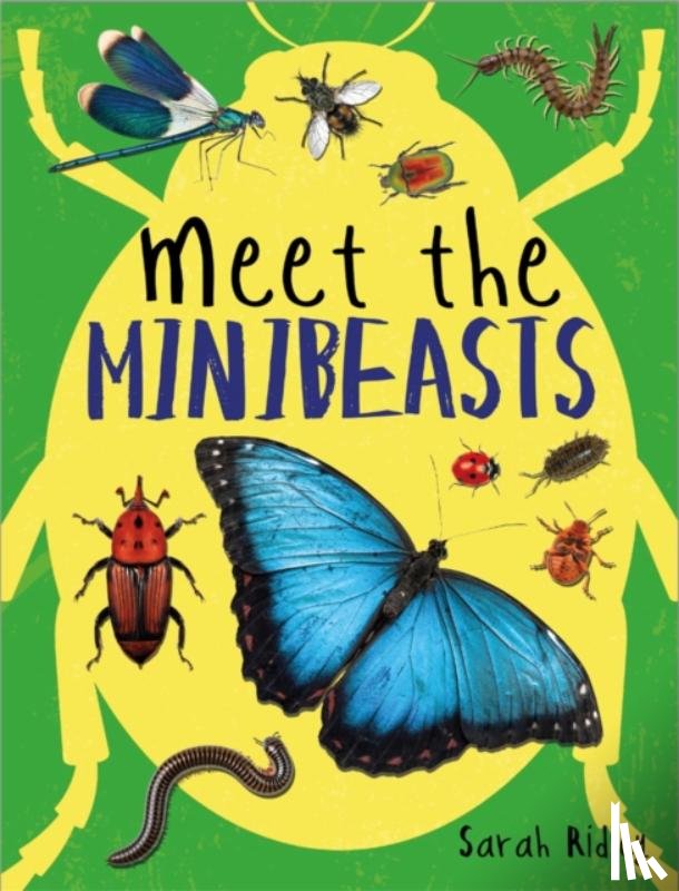 Ridley, Sarah - Meet the Minibeasts