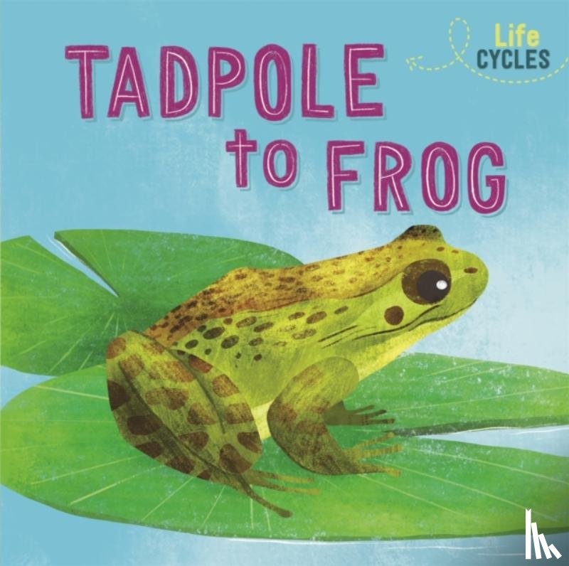 Tonkin, Rachel - Life Cycles: From Tadpole to Frog