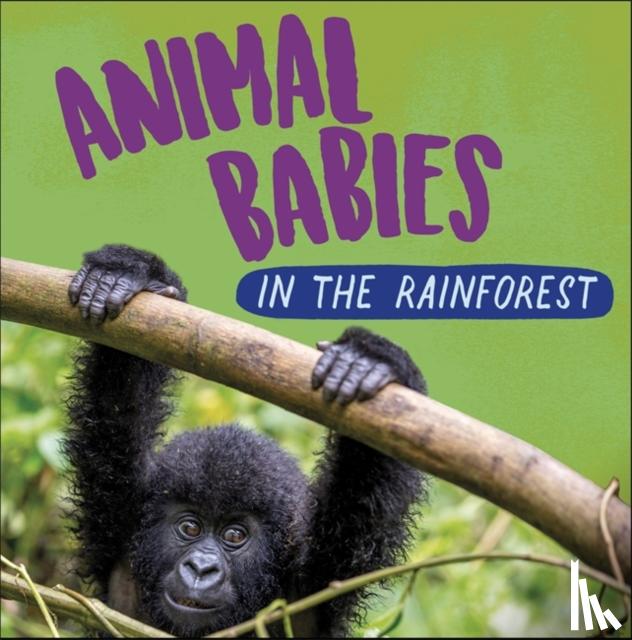 Ridley, Sarah - Animal Babies: In the Rainforest