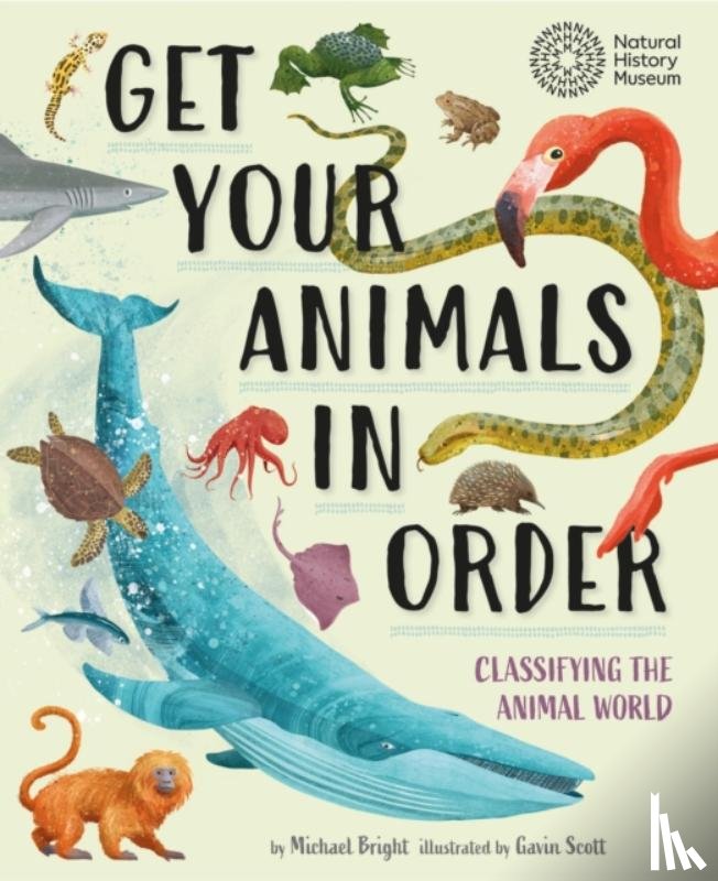 Bright, Michael - Get Your Animals in Order: Classifying the Animal World