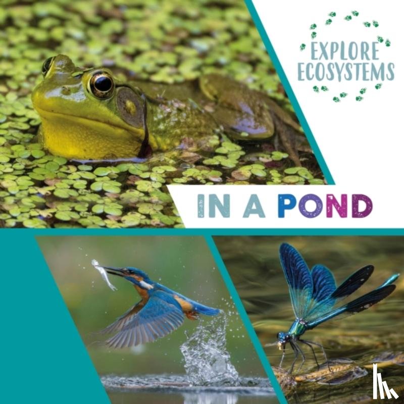 Ridley, Sarah - Explore Ecosystems: In a Pond