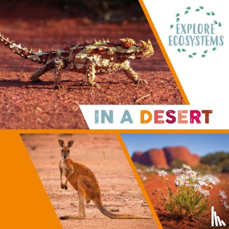 Ridley, Sarah - Explore Ecosystems: In a Desert