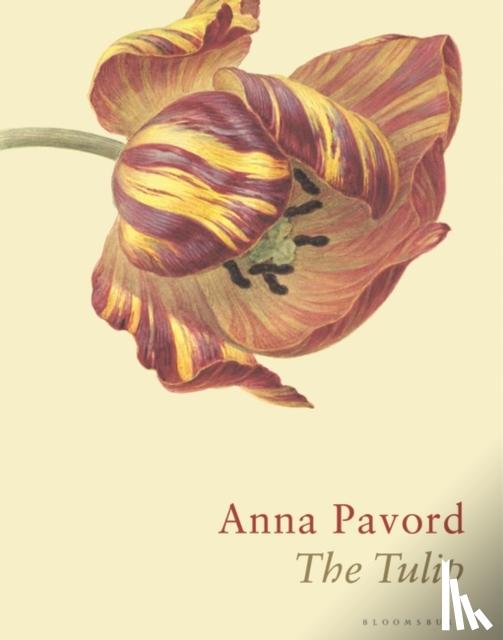 Pavord, Anna - The Tulip