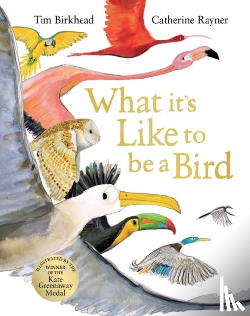 Birkhead, Tim - What it's Like to be a Bird