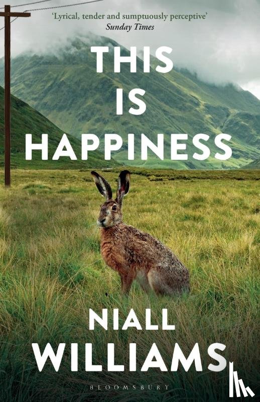 Williams, Niall - This Is Happiness