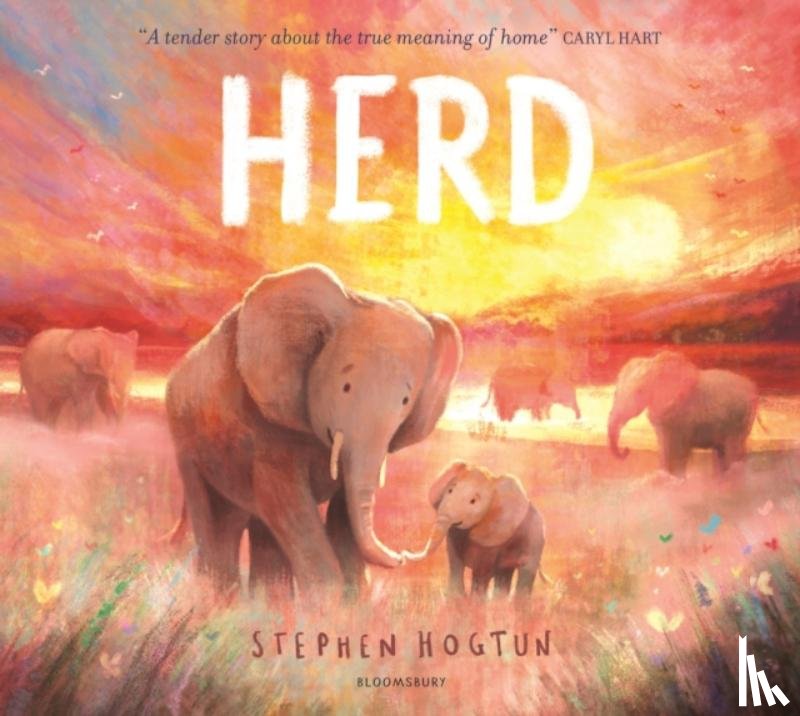 Hogtun, Stephen - HERD