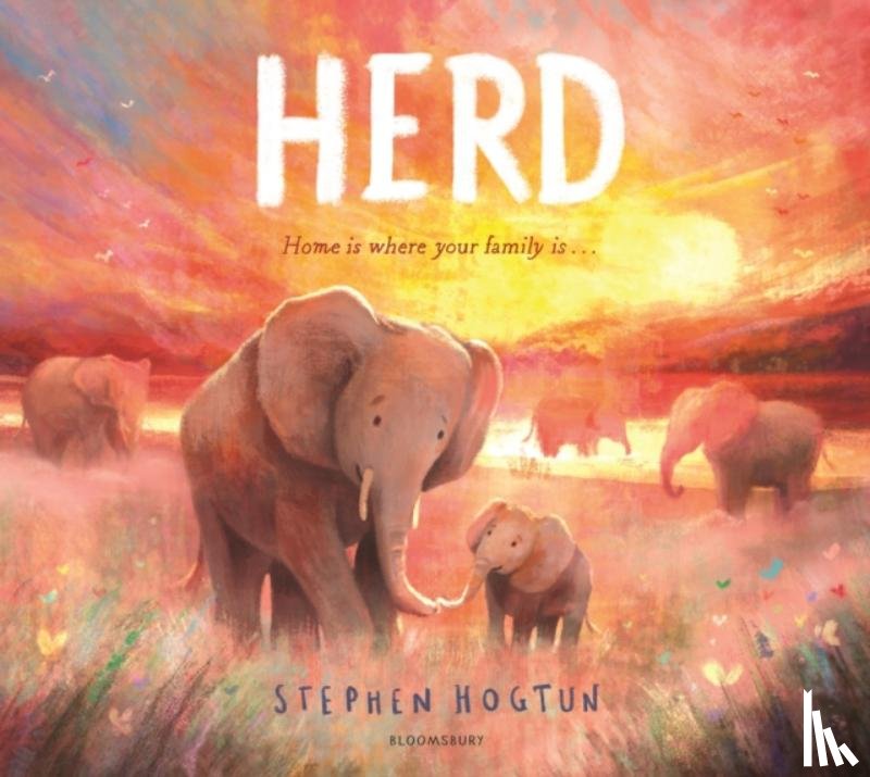 Hogtun, Stephen - HERD